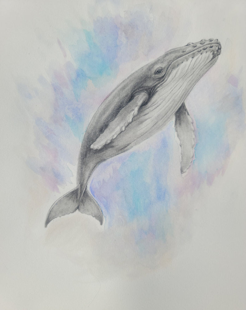 Majestic Whale 9"x12"