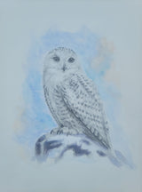Wise Owl 9"x12"