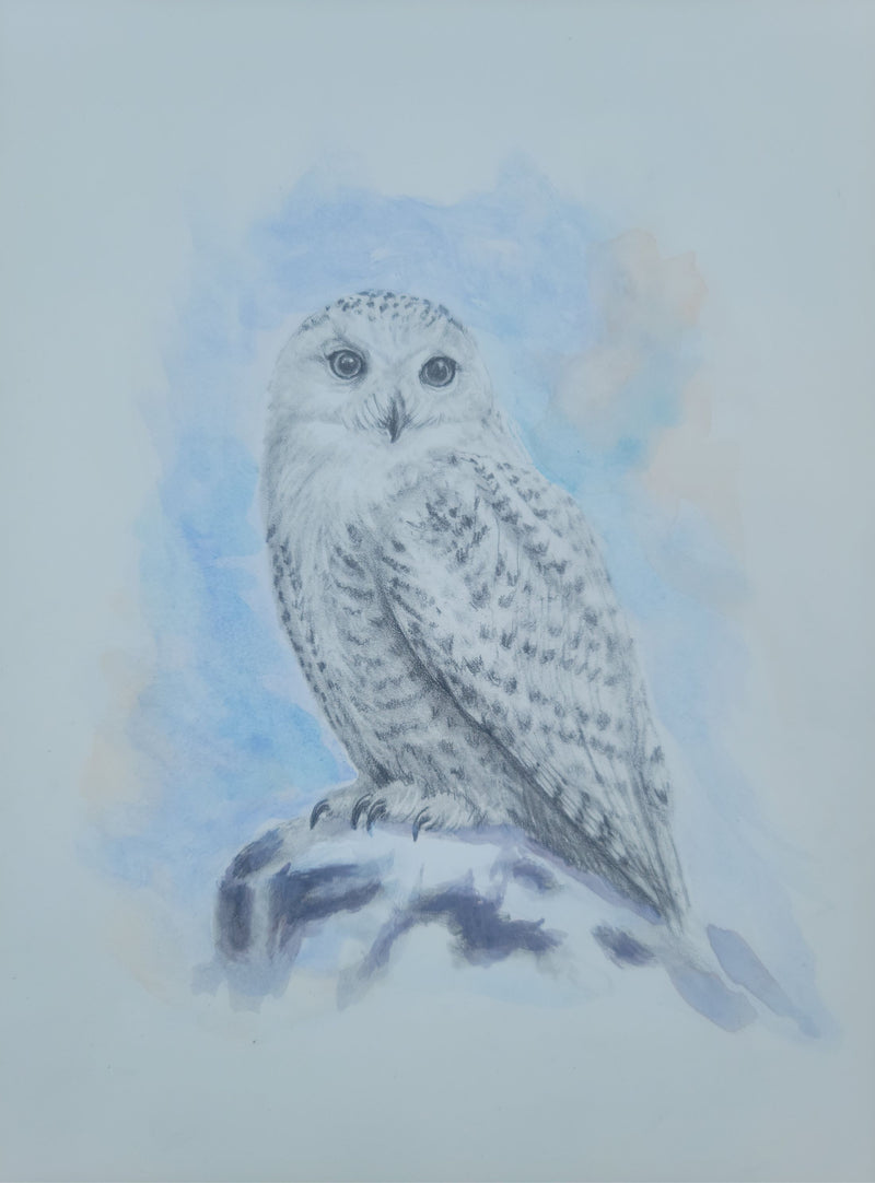 Wise Owl 9"x12"